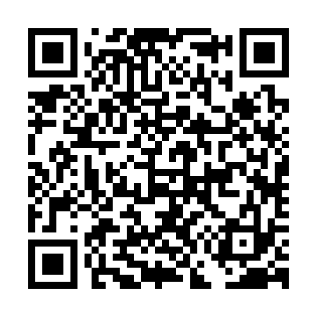 QR code for DG2333