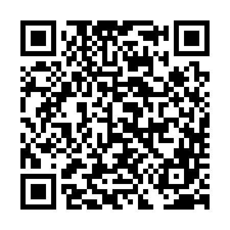 QR code for DG2346