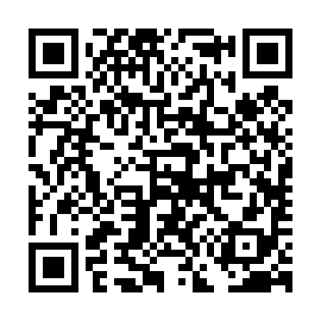 QR code for DG2498