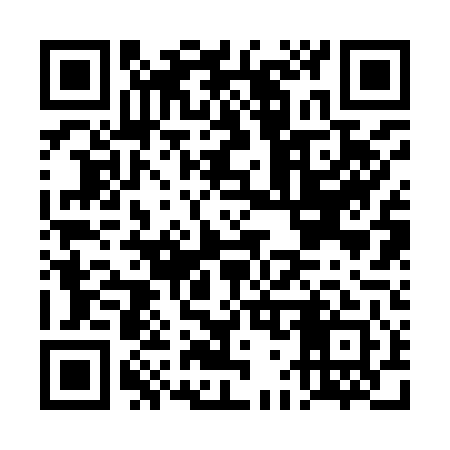 QR code for DG2941