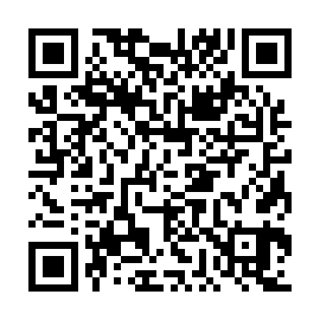 QR code for DG3161