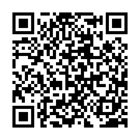 QR code for DG4161