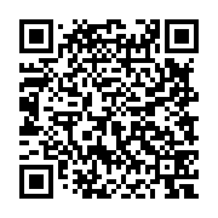 QR code for DG4879