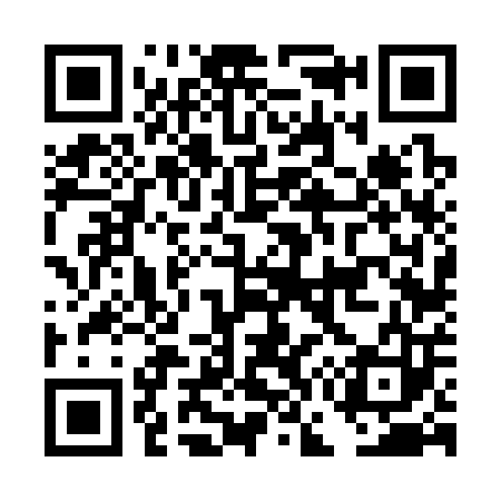 QR code for DG6303
