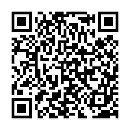 QR code for DG6453