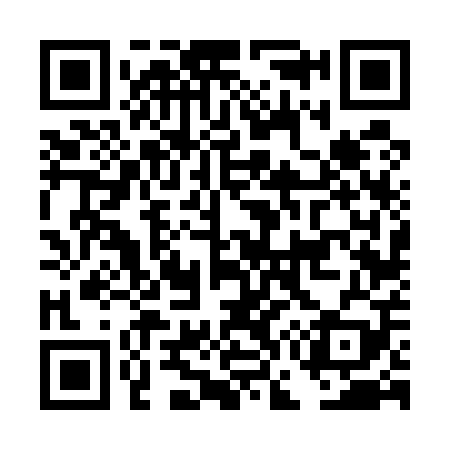 QR code for DG6509