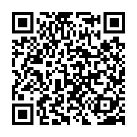 QR code for DG6729