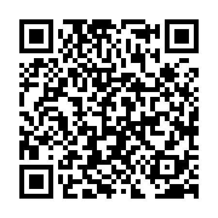 QR code for DG8938