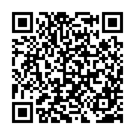 QR code for DG9386