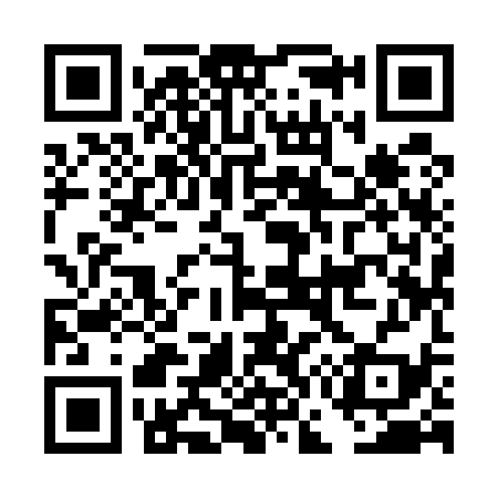 QR code for DG9539