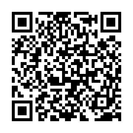 QR code for DG9553