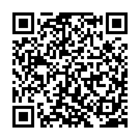 QR code for DH2911