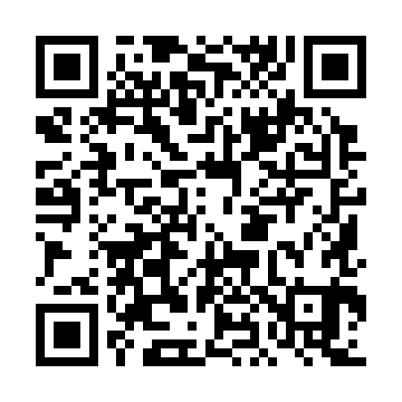 QR code for DH9381