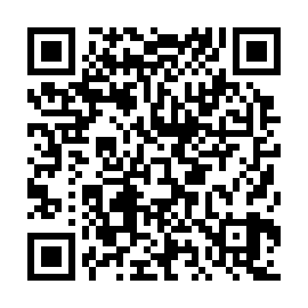 QR code for DI0329