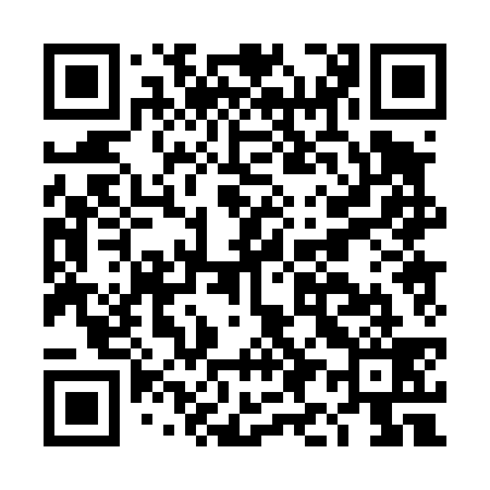 QR code for DI0439