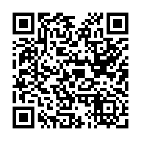 QR code for DI0993