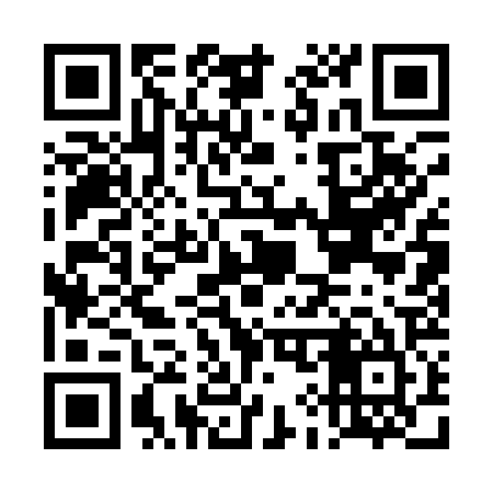 QR code for DI1125