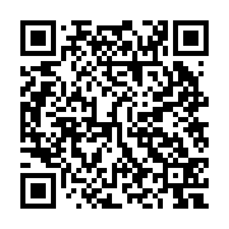 QR code for DI2233