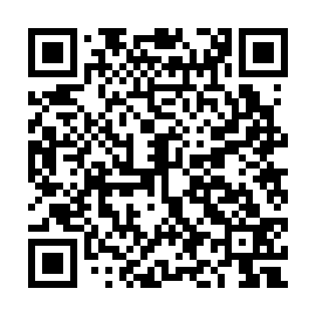 QR code for DI2333