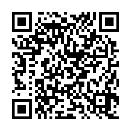 QR code for DI2337