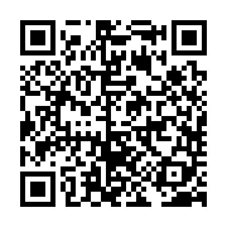 QR code for DI2349