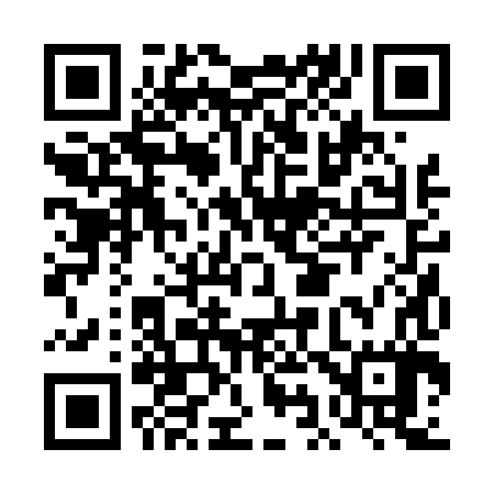 QR code for DI2487