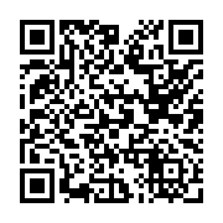 QR code for DI2891