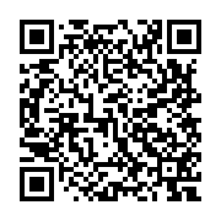 QR code for DI2951