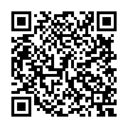QR code for DI3801