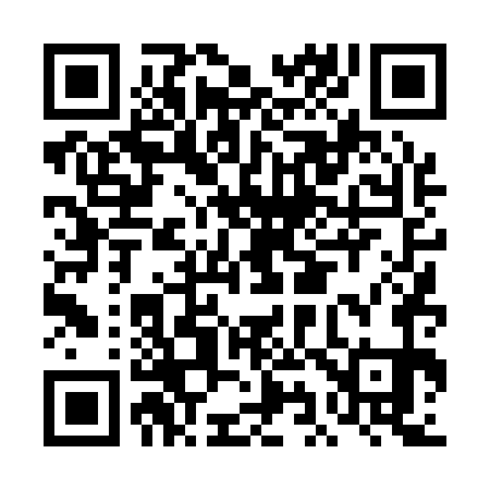 QR code for DI4171