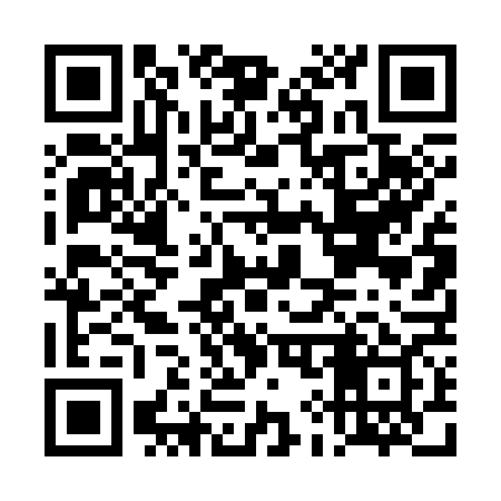 QR code for DI4369