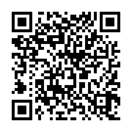 QR code for DI4508