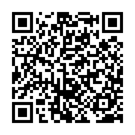 QR code for DI4545