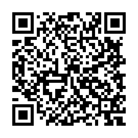 QR code for DI4811