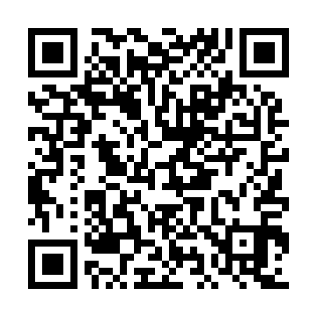 QR code for DI4911