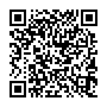 QR code for DI5311