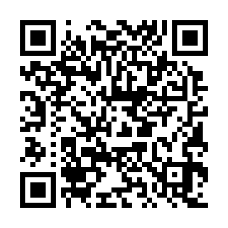 QR code for DI5333