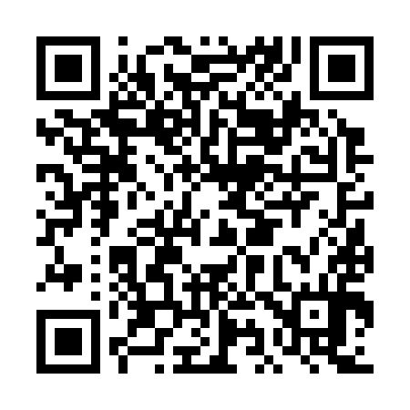 QR code for DI6394