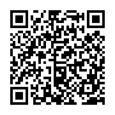 QR code for DI6466