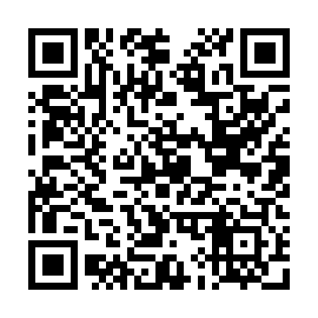 QR code for DI9003
