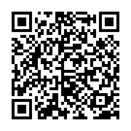 QR code for DI9079