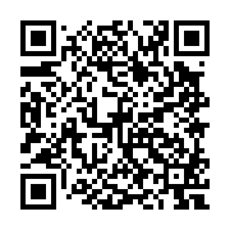 QR code for DI9081