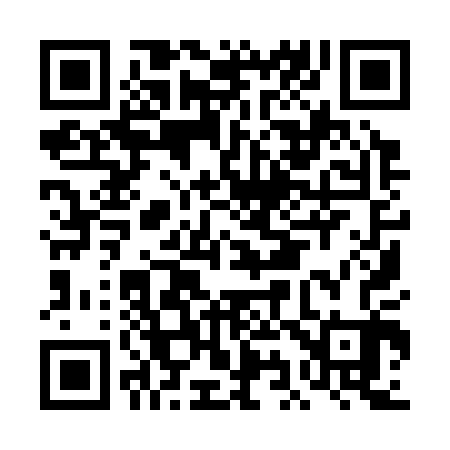 QR code for DI9303