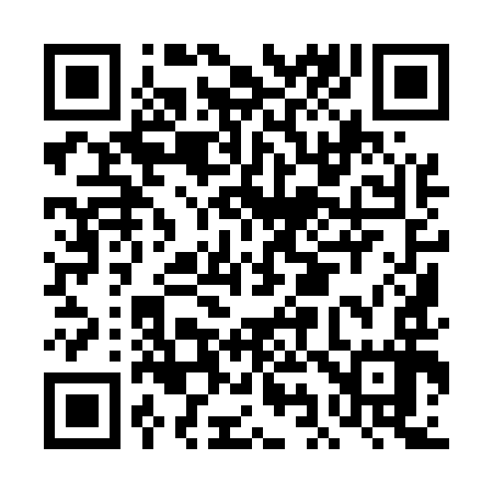 QR code for DI9597