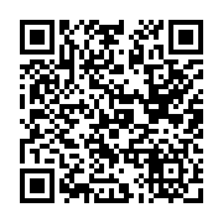 QR code for DI9907