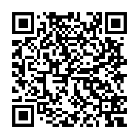 QR code for DJ9528