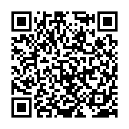QR code for DK9311