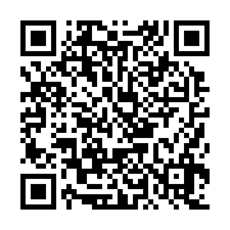 QR code for DL0336