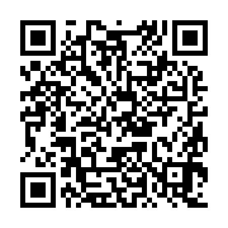 QR code for DL3990