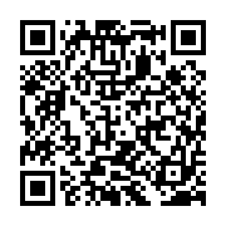 QR code for DL9113